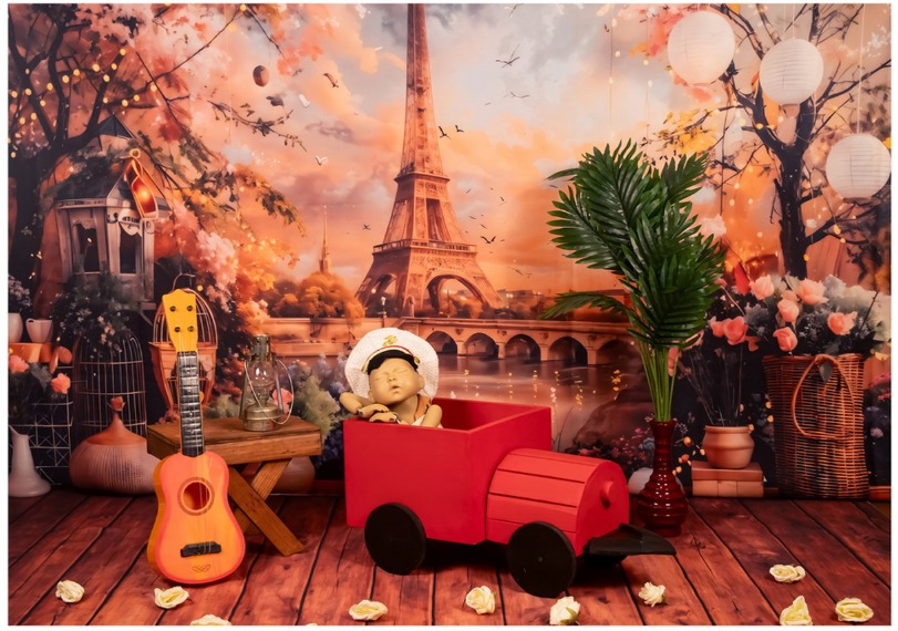 Parisian Sunset Dreams Newborn Photoshoot Theme